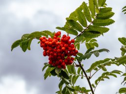 Fotowalk Pfarrwerfen - Bahnhof Werfen